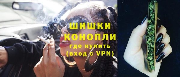 эйфоретик Гусев