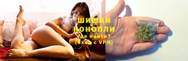 эйфоретик Гусев