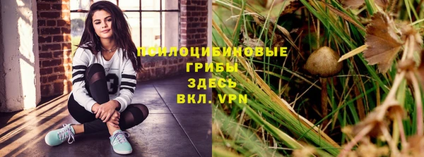 эйфоретик Гусев