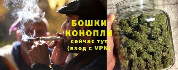 трава Гусь-Хрустальный
