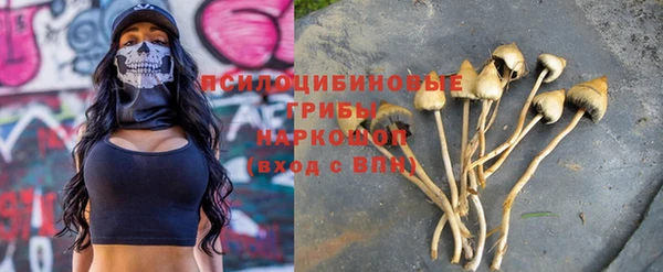 трава Гусь-Хрустальный