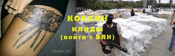 эйфоретик Гусев