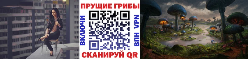Галлюциногенные грибы ЛСД  Назрань 
